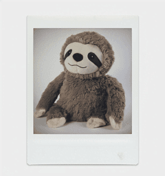 Polaroid