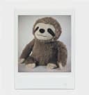 Polaroid